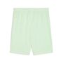 Puma teamGOAL Shorts - gr�n