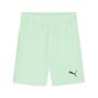 Puma teamGOAL Shorts - gr�n
