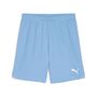 Puma teamGOAL Shorts - blau