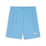 Puma teamGOAL Shorts - blau