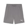 Puma teamGOAL Shorts - grau