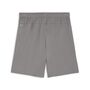 Puma teamGOAL Shorts - grau
