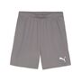 Puma teamGOAL Shorts - grau