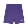 Puma teamGOAL Shorts - violett