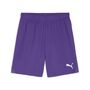 Puma teamGOAL Shorts - violett