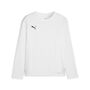Puma teamGOAL LS Jersey Jr - weiss