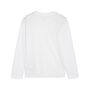 Puma teamGOAL LS Jersey Jr - weiss