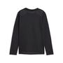 Puma teamGOAL LS Jersey Jr - schwarz