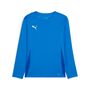 Puma teamGOAL LS Jersey Jr - blau