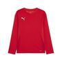 Puma teamGOAL LS Jersey Jr - rot
