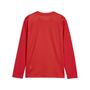 Puma teamGOAL LS Jersey Jr - rot