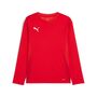 Puma teamGOAL LS Jersey Jr - rot