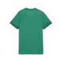 Puma teamGOAL Matchday Jersey Wmns - gr�n