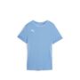 Puma teamGOAL Matchday Jersey Wmns - blau