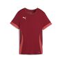 Puma teamGOAL Matchday Jersey Wmns - rot