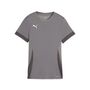 Puma teamGOAL Matchday Jersey Wmns - grau