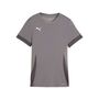 Puma teamGOAL Matchday Jersey Wmns - grau
