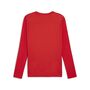Puma teamGOAL LS Jersey - rot