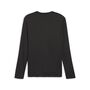 Puma teamGOAL LS Jersey - schwarz