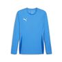 Puma teamGOAL LS Jersey - blau