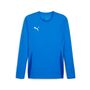 Puma teamGOAL LS Jersey - blau