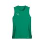 Puma teamGOAL Sleeveless Jersey Wmns - gr�n