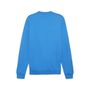Puma teamGOAL Casuals Crew Neck Sweat - blau