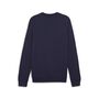 Puma teamGOAL Casuals Crew Neck Sweat - blau