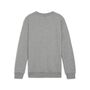 Puma teamGOAL Casuals Crew Neck Sweat Jr - grau