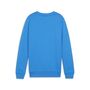 Puma teamGOAL Casuals Crew Neck Sweat Jr - blau