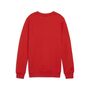 Puma teamGOAL Casuals Crew Neck Sweat Jr - rot