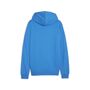 Puma teamGOAL Casuals Hooded Jacket - blau