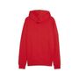 Puma teamGOAL Casuals Hooded Jacket - rot