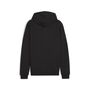 Puma teamGOAL Casuals Hooded Jacket - schwarz