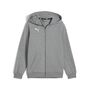 Puma teamGOAL Casuals Hooded Jacket Jr - grau