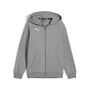 Puma teamGOAL Casuals Hooded Jacket Jr - grau