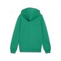 Puma teamGOAL Casuals Hooded Jacket Jr - gr�n