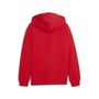 Puma teamGOAL Casuals Hooded Jacket Jr - rot