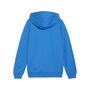Puma teamGOAL Casuals Hooded Jacket Jr - blau