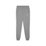 Puma teamGOAL Casuals Pants Wmn - grau