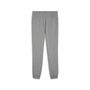 Puma teamGOAL Casuals Pants Wmn - grau