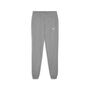 Puma teamGOAL Casuals Pants Wmn - grau