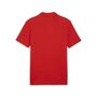 Puma teamGOAL Casuals Polo - rot