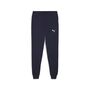 Puma teamGOAL Casuals Pants - blau