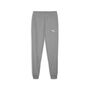 Puma teamGOAL Casuals Pants - grau