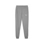 Puma teamGOAL Casuals Pants - grau