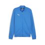 Puma teamGOAL Casual Tracktop - blau