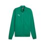 Puma teamGOAL Casual Tracktop - gr�n
