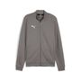Puma teamGOAL Casual Tracktop - grau