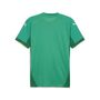 Puma teamFINAL Jersey - gr�n